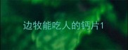 边牧能吃人的钙片