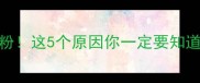 拉布拉多鼻子变粉这5个原因你一定要知道附紧急处理指南