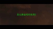 怎么教金毛叼东西