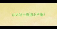 幼犬哈士奇细小严重
