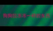 狗狗拉冻冻一样的东西