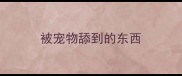 被宠物舔到的东西