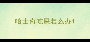 哈士奇吃屎怎么办