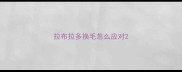 拉布拉多换毛怎么应对