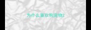 为什么喜欢狗宠物
