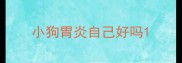 小狗胃炎自己好吗