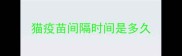 猫疫苗间隔时间是多久
