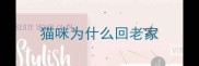 猫咪为什么回老家