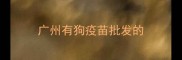 广州有狗疫苗批发的