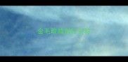 金毛眼睛部位名称