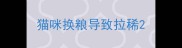 猫咪换粮导致拉稀