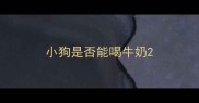 小狗是否能喝牛奶