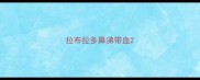 拉布拉多鼻涕带血