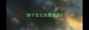 鸽子怎么当宠物养