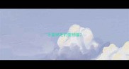 不爱掉毛的宠物猫