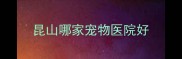 昆山哪家宠物医院好