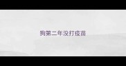 狗第二年没打疫苗