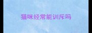 猫咪经常能训斥吗