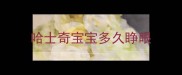 哈士奇宝宝多久睁眼