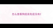 怎么查看狗疫苗免疫没有