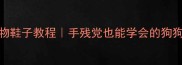 DIY宠物鞋子教程手残党也能学会的狗狗专用鞋