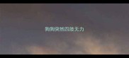 狗狗突然四肢无力