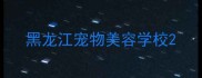 黑龙江宠物美容学校