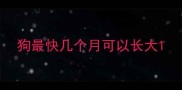 狗最快几个月可以长大