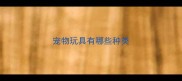 宠物玩具有哪些种类