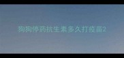 狗狗停药抗生素多久打疫苗