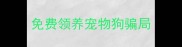 免费领养宠物狗骗局