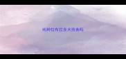 纯种拉布拉多犬挑食吗