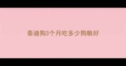 泰迪狗3个月吃多少狗粮好