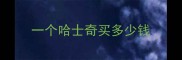 一个哈士奇买多少钱