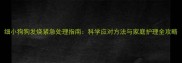 细小狗狗发烧紧急处理指南科学应对方法与家庭护理全攻略
