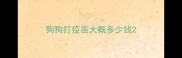 狗狗打疫苗大概多少钱