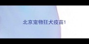 北京宠物狂犬疫苗