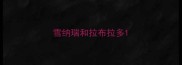 雪纳瑞和拉布拉多