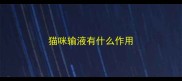 猫咪输液有什么作用