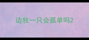 边牧一只会孤单吗