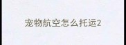 宠物航空怎么托运