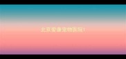 北京爱康宠物医院