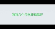 狗狗几个月吃卵磷脂好