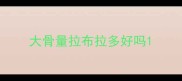 大骨量拉布拉多好吗