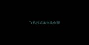 飞机托运宠物放在哪