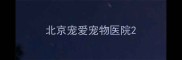北京宠爱宠物医院