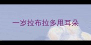 一岁拉布拉多甩耳朵