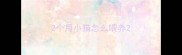 2个月小猫怎么喂养