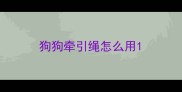 狗狗牵引绳怎么用