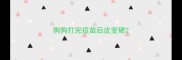 狗狗打完疫苗后皮变硬